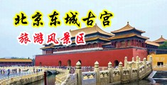 操屄的网址中国北京-东城古宫旅游风景区